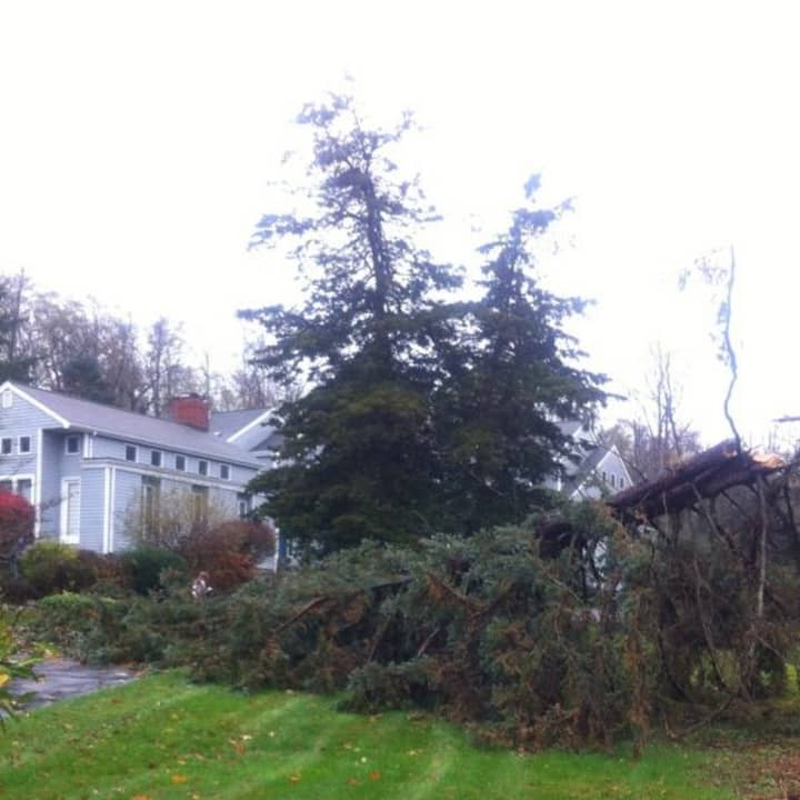 A tree fell near a home on Warncke Road in Wilton on Monday as the town continues dealing with rain and wind from Hurricane Sandy. 