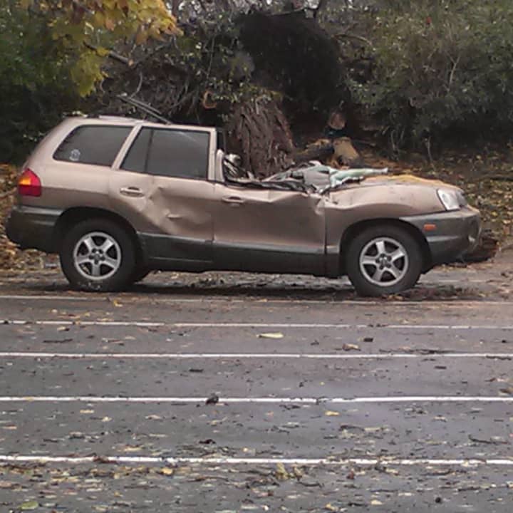 A small SUV was crushed by a fallen tree during Hurricane Sandy in the Yorktown Volunteer Ambulance Corps parking lot Tuesday morning. 
