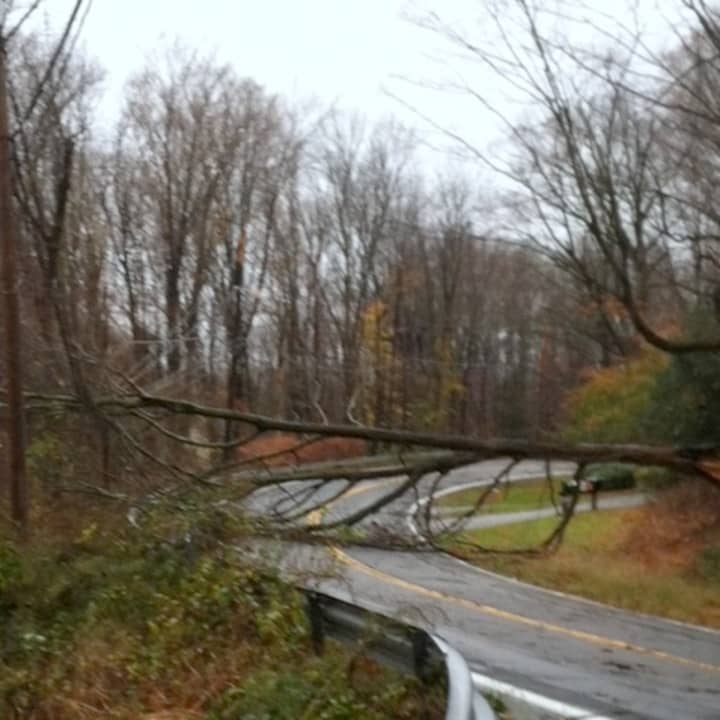 A tree blocks Route 124 between Lewisboro and Pound Ridge.
