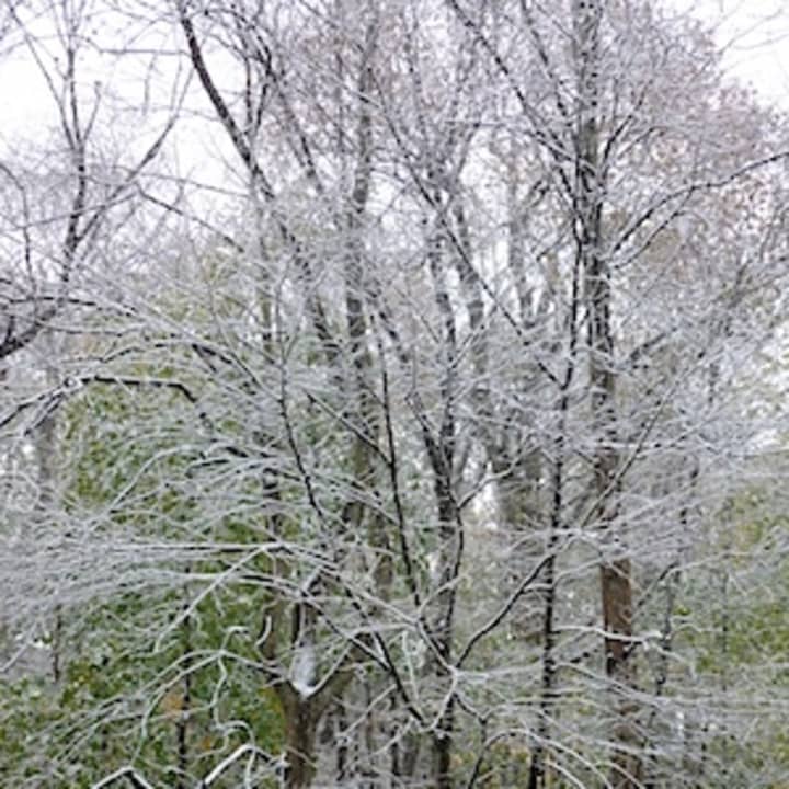 Send your snow pics to us and we&#x27;ll upload them into our album, Greenburgh.