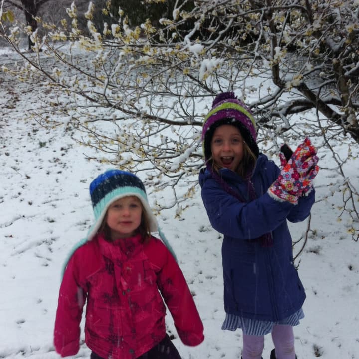 Sisters Charlotte and Isabel Torgerson enjoyed Wednesday&#x27;s snowfall at the New Canaan Nature Center. 