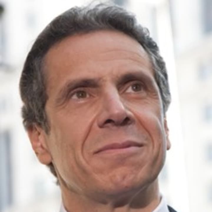 A key piece of Gov. Andrew Cuomo&#x27;s SAFE Act legislation was suspended Friday by one of Cuomo&#x27;s aides, citing &#x27;a lack of adequate technology.&#x27;