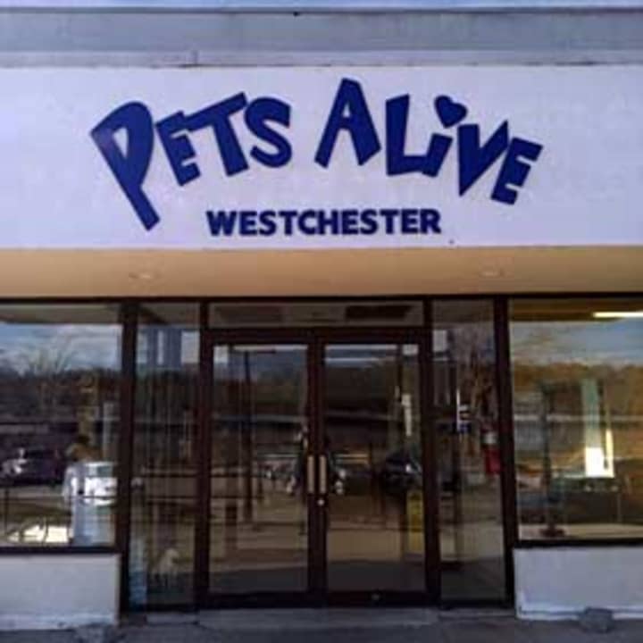 Pets Alive announced that its  location in Elmsford will close due to unsafe building conditions. 