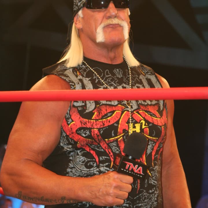 Stamford&#x27;s WWE has severed ties with Hulk Hogan.