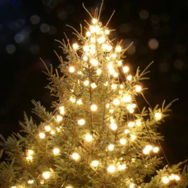 The Hastings Parks &amp; Recreation Department will host a tree lighting ceremony Dec. 7.