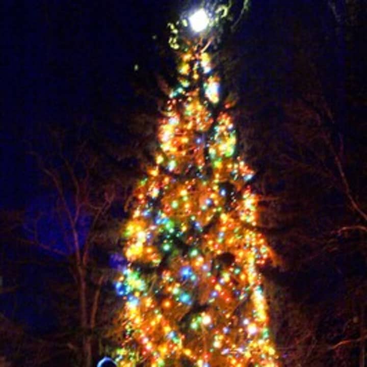 A tree lighting to kick off Hospice Care in Westchester &amp; Putnam&#x27;s annual Tree of Life benefit takes place Wednesday at Mount Kisco&#x27;s Holiday Inn.