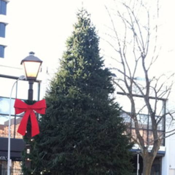 White Plains Mayor Thoma Roach decided to plant an evergreen tree in 2011 to prevent the city from having to buy a new tree every winter.
