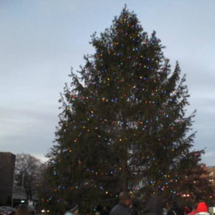 Greenwich will lights its Christmas tree on Friday afternoon. 