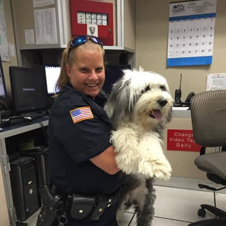 The Ossining Police Department have located the owner of a dog that was lost.