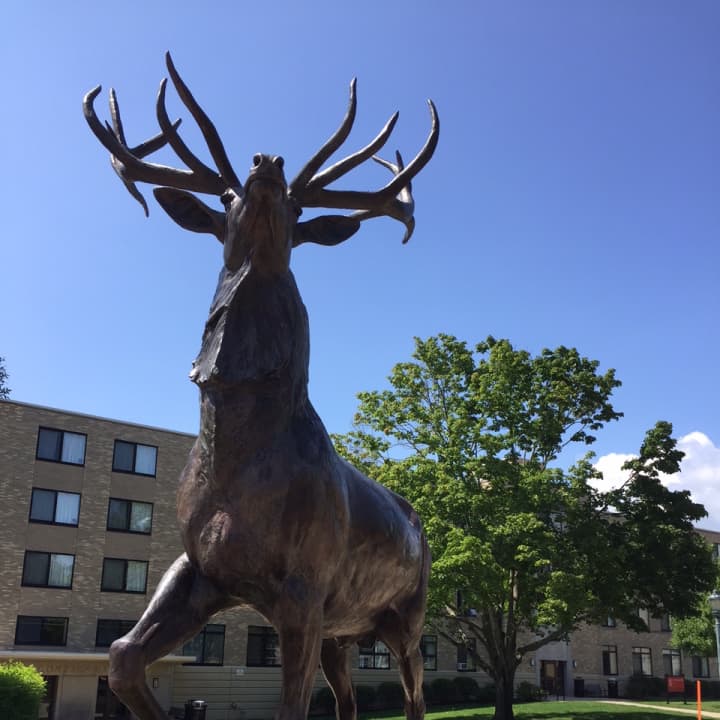 The statue of Fairfield University&#x27;s mascot Lucas the Stag stands against the sky Wednesday, waiting for students to return to campus. 