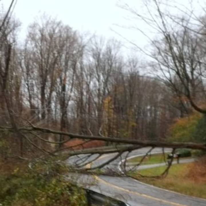 A tree knocked down by Hurricane Sandy blocks Route 124.