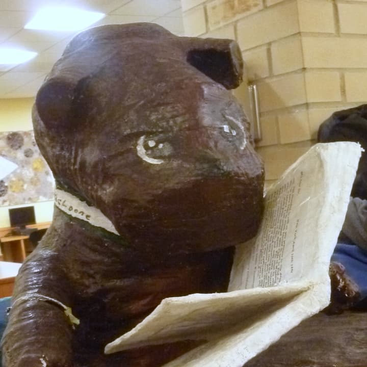 We found this reading bear in Irvington.