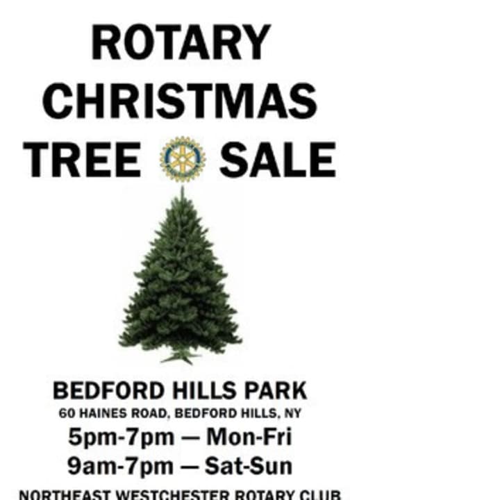 The Northeast Westchester Rotary Club&#x27;s Christmas tree sale in Bedford Hills featuring fresh cut Douglas and Fraser Firs continues until Dec. 24.