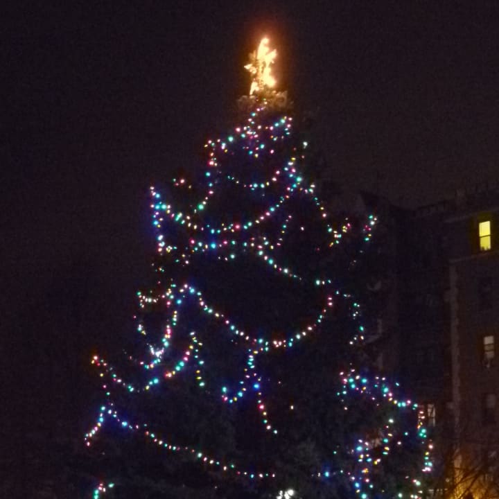The lighting of the Christmas tree in Ma Riis Park will be part of the festivities during Harrison&#x27;s Holiday Happening on Dec. 5.