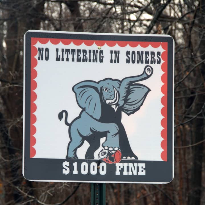 Anti-litter signs, designed by Somers High School senior Anna Gemo, are now posted around town.