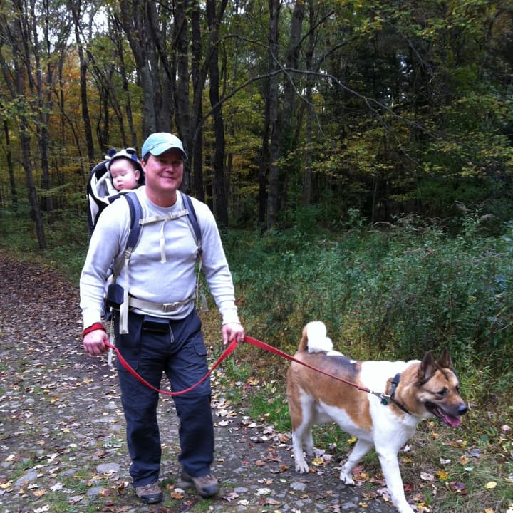Land trust member Shaun Malay, of Easton, walks a dog at Trout Brook Valley.
