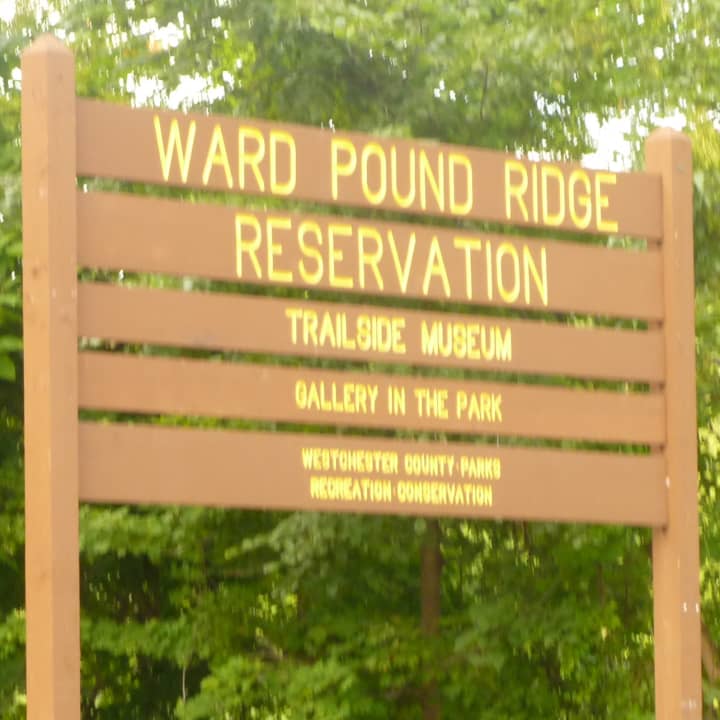 The County Board of Legislators is expected to approve $8 million in bonds to renovate Ward Pound Ridge Reservation.