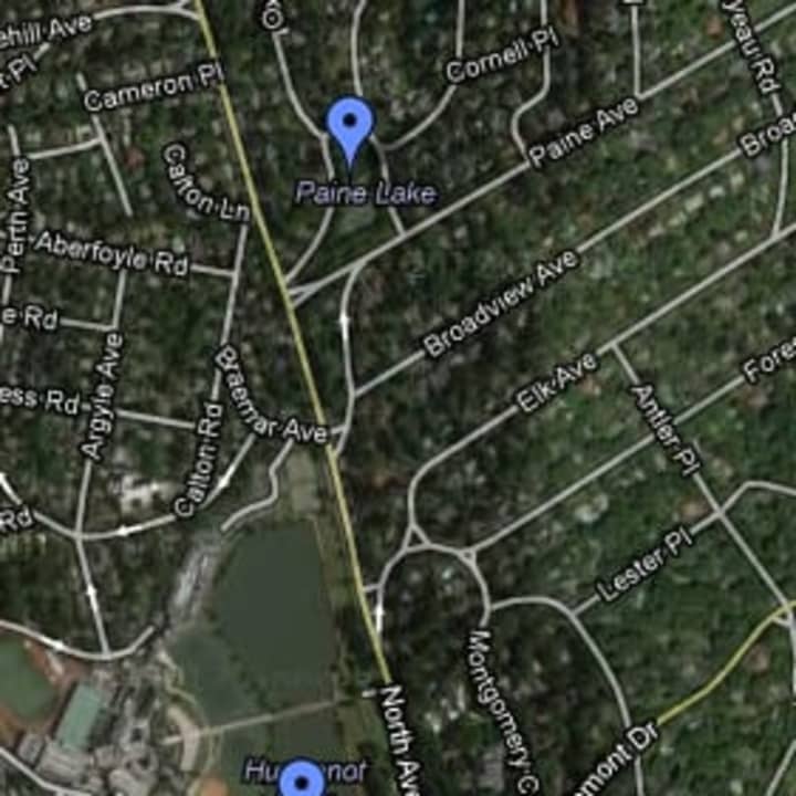 Paine Lake and South Lake at New Rochelle High School are open for ice skating, the Department of Parks and Recreation announced. Carpenter&#x27;s Pond is also open. 