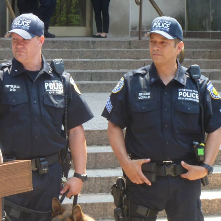 Detective Matthew Kittelstad (left) of the White Plains Police Department was selected to be the handler for K-9 Justice, who is trained to detect drugs
