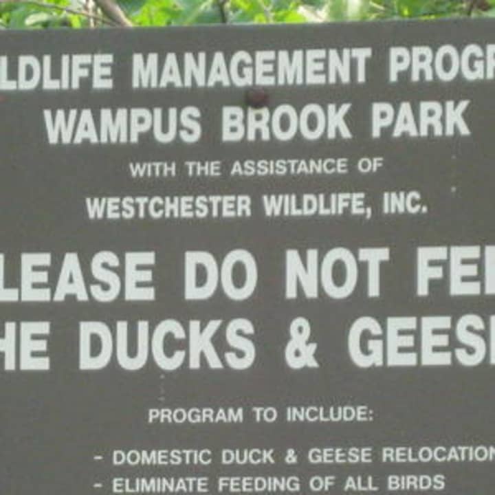 Wampus Brook Park is currently under renovation. The North Castle Town Board hopes to have a dog park there by the summer.