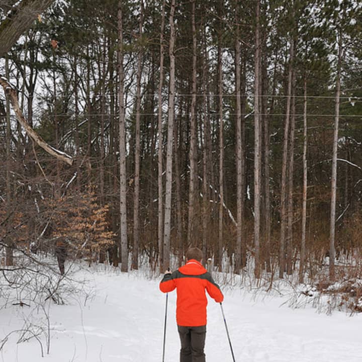 Check out the cross-country skiing trek through Croton Point Park this weekend. This and other events are listed below. 