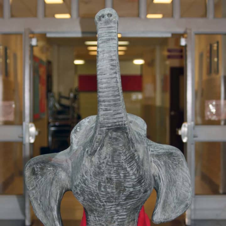 Somers&#x27; Elephant is in the running for best mascot.