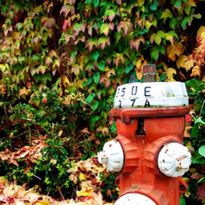 Fire hydrants in Greenburgh will be flushed beginning April 23, which could cause water discoloration for residents in the affected areas. 