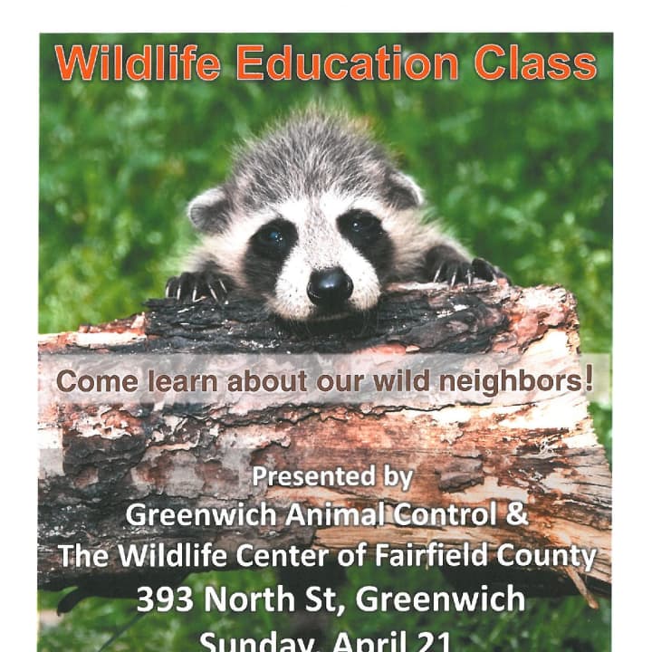 Greenwich Animal Control will hold wildlife education classes at noon and 1 p.m. on Sunday at its facility at 393 North St. 