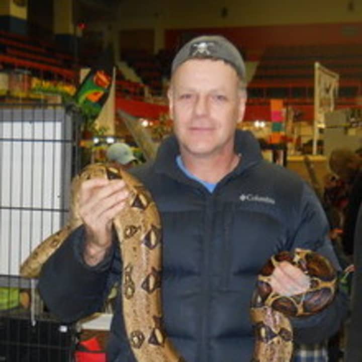 The New York Reptil Expo features reptiles, amphibians, and invertebrates, like the red tail boa pictured above.