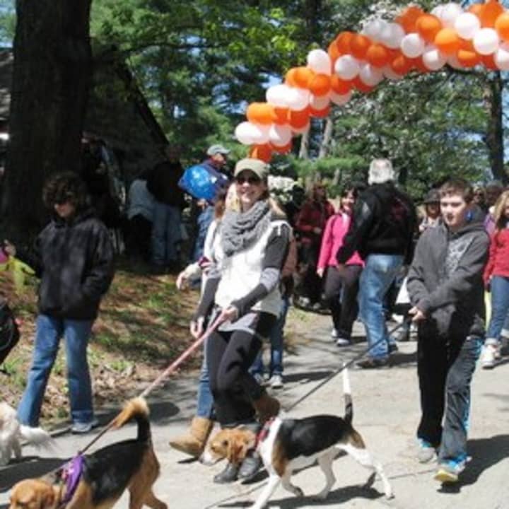 The SPCA of Westchester is set to host the eighth annual Walkathon and Pet Fair Saturday in Yorktown Heights. 