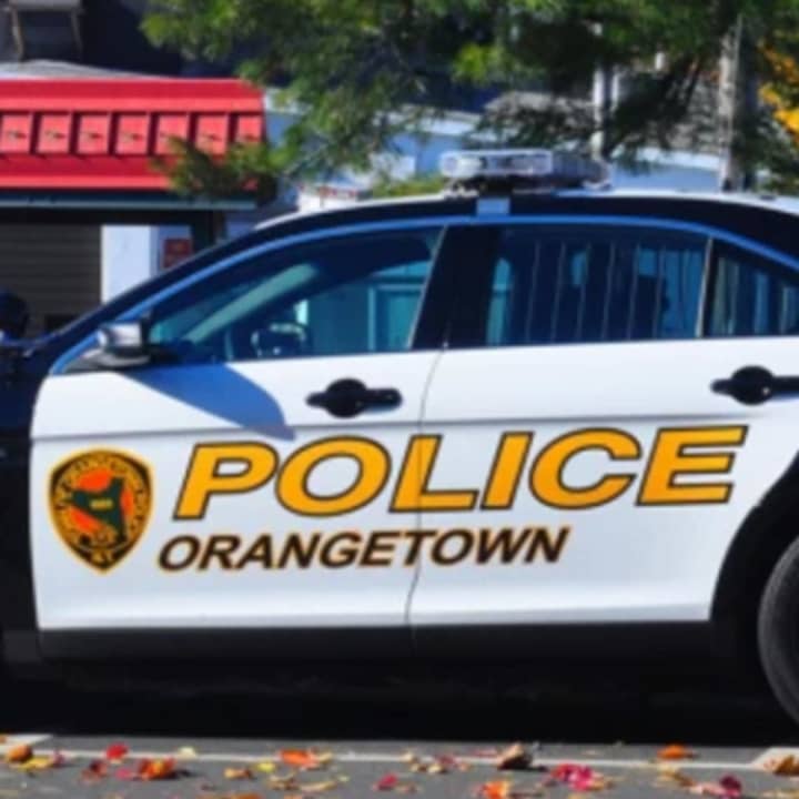 Orangetown police car arrested a Nyack woman for DWI after she crashed into a tree and rock wall on Tuesday.