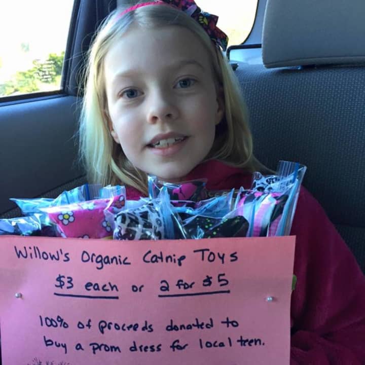 Willow Phelps, 8, of Ringwood, raising support for one of her fundraisers.