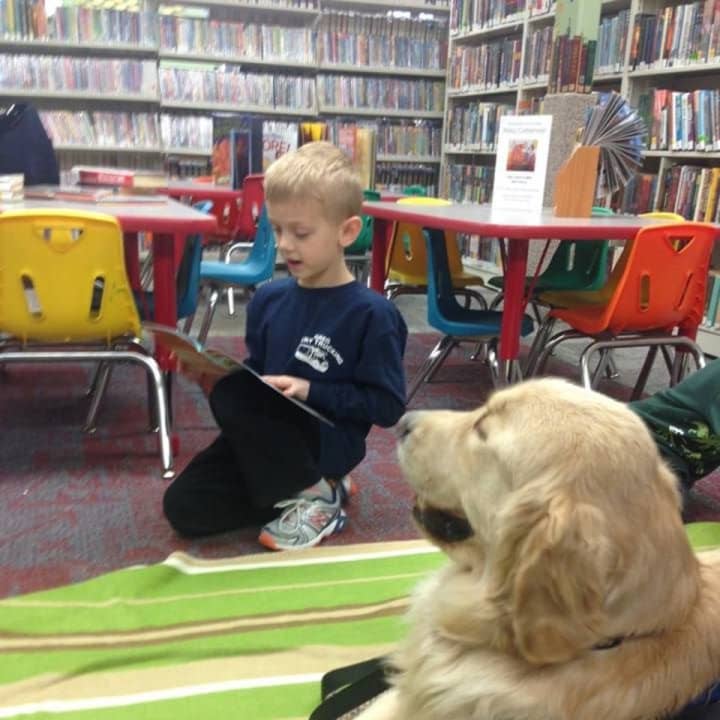 The Bloomingdale library has encouraged reading for 90 years now -- and the efforts now include the &quot;Paws to Read&quot; program, featuring Thatcher. Come celebrate in May, with two events.