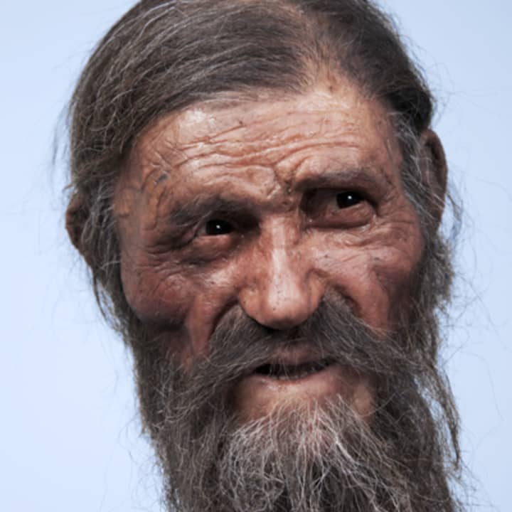 This reconstruction of Otzi the Iceman&#x27;s face and head was made in 2011. This Friday, the world premiere of a comedic play, &quot;100 Famous Views of Otzi,&quot; will open in the Felician College Little Theatre.