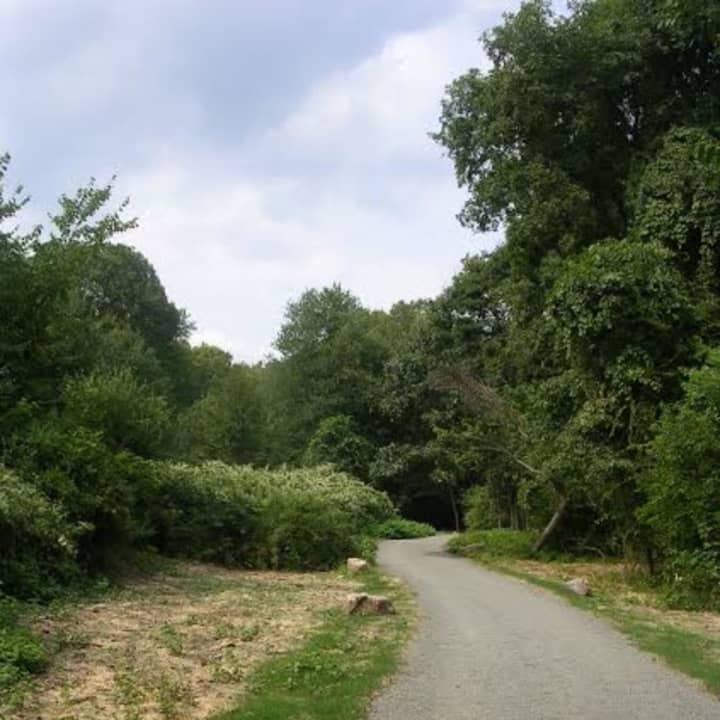 <p>The Norwalk River Valley Trail in Wilton.</p>