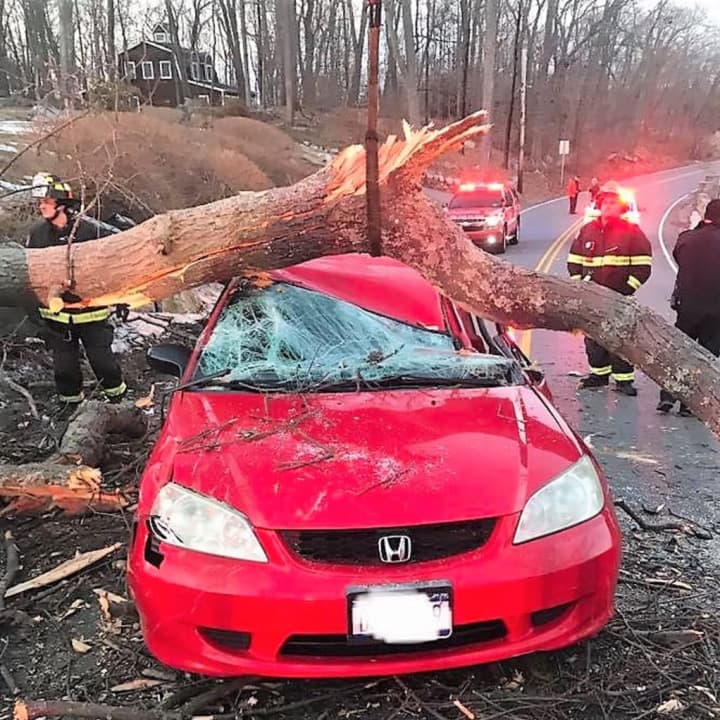 A large tree landed on top of a car with the driver inside.
