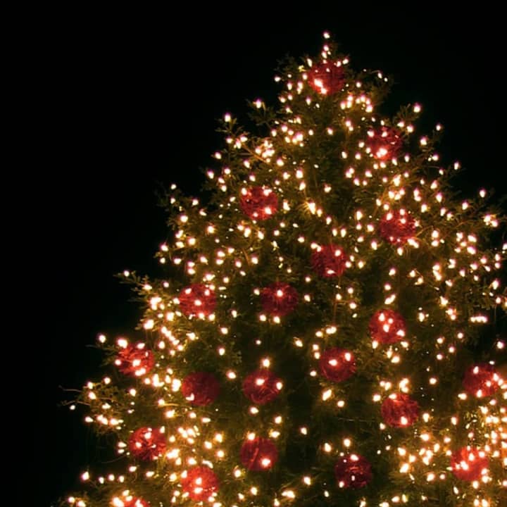 Lodi will have its annual tree-lighting ceremony Dec. 2.