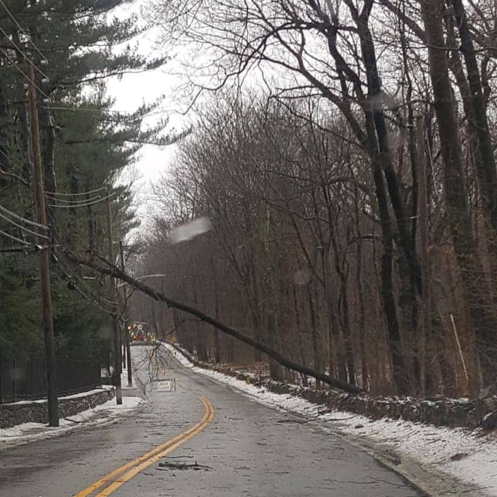 Hundreds of trees and power lines have been felled during the Nor&#x27;easter in the Hudson Valley.