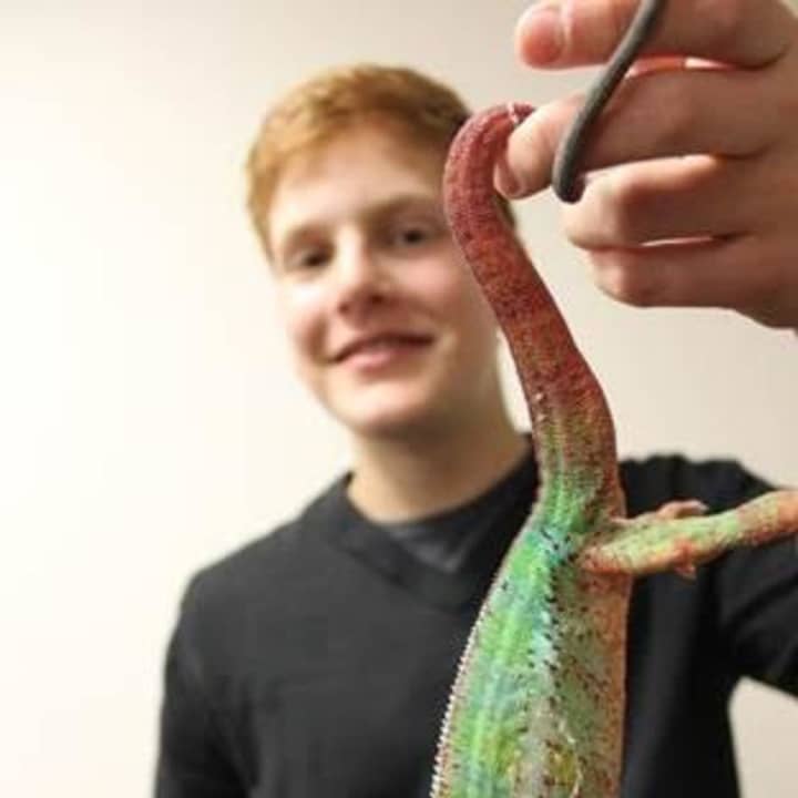 Zach Lewis, of Edgemont, N.Y., is a volunteer at Greenburgh Nature Center in Scarsdale. He will be honored May 4 at the 36th Annual Volunteer Spirit Awards.