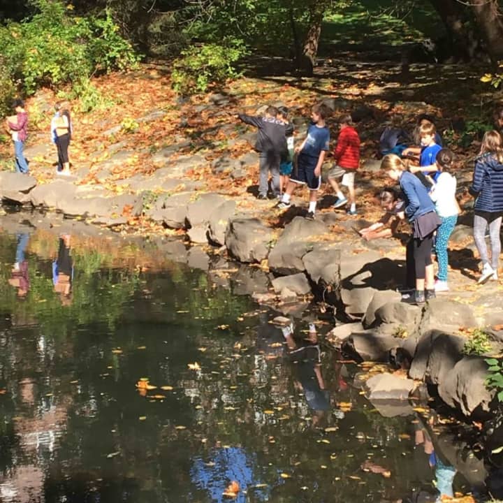 Bronxville Elementary School students have been collecting various samples of species at the Bronx River and analyzing them in the classroom.