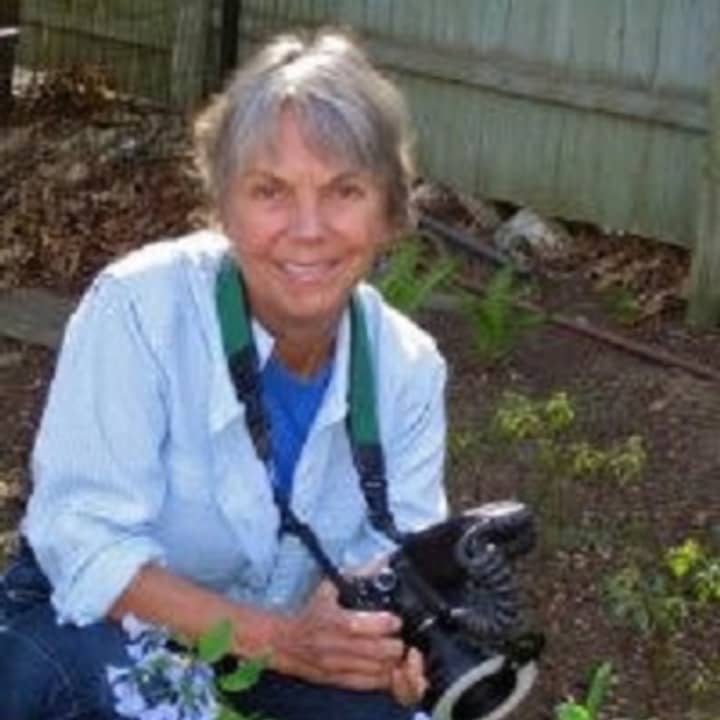 The walk will be led by Carol Gracie, an author, photographer and naturalist.