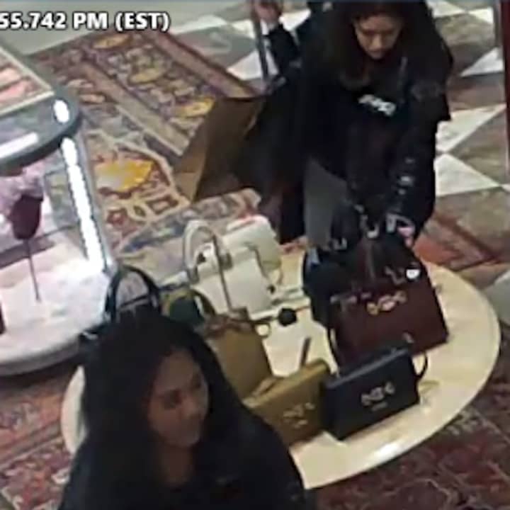 A woman is wanted for allegedly stealing a Gucci wallet from Saks Fifth Avenue in Huntington Station.
