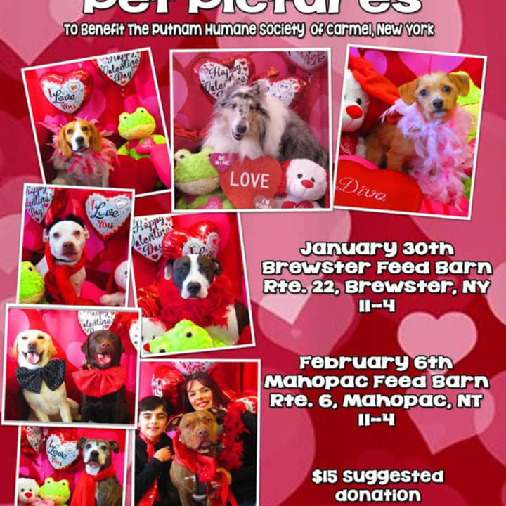 Putnam Humane Society will offer Valentine&#x27;s Day photos for pets.