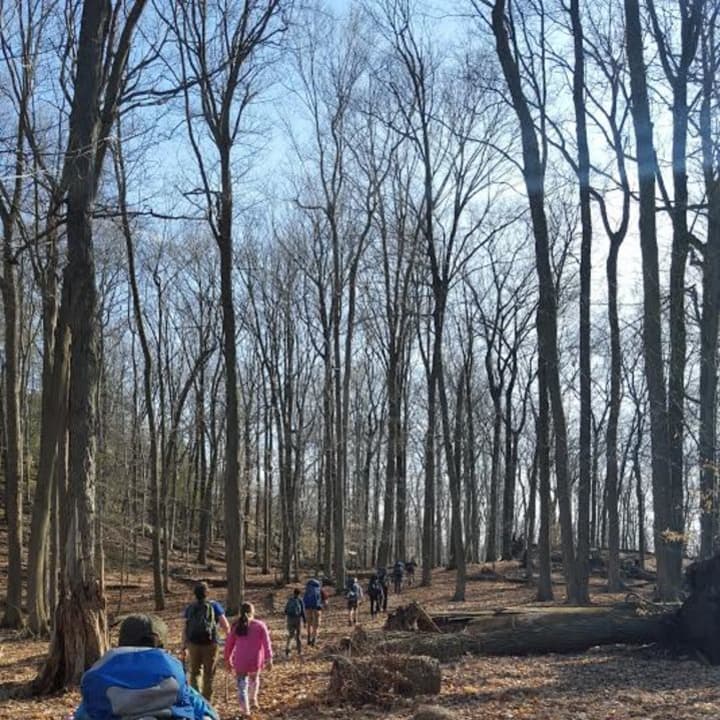 A troop of Boy Scouts from Greenwich leads some lost hikers back to their camp and out of the woods on Saturday in Harriman State Park in New York.