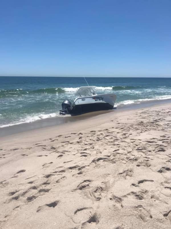Whale Capsizes Boat Off Seaside Shore