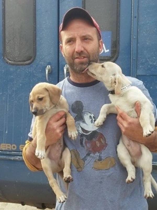 This Middletown Pet Rescuer Has Saved 13,000 Dogs Since 2015