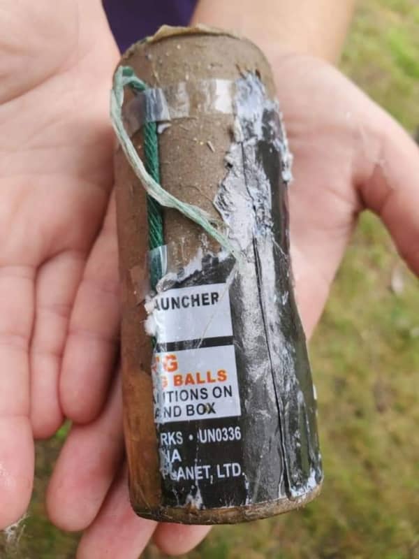Goose Found With Explosive Device Attached To It On Long Island