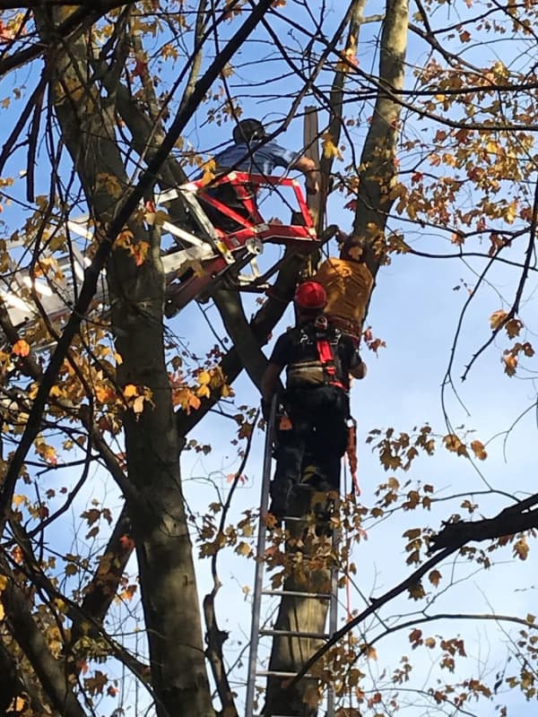 Firefighters Perform 'High-Risk' Rescue Of Trapped, Injured Worker In Fairfield