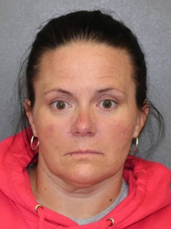 Route 9W Reckless Driving Stop Results In DWI Charge For Rockland Woman, 44