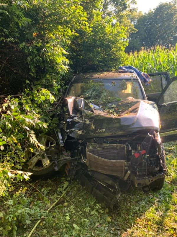 PHOTOS: Victim Seriously Injured After Jeep Veers Off Northampton County Road Into Woods